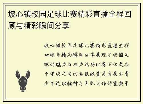 坡心镇校园足球比赛精彩直播全程回顾与精彩瞬间分享